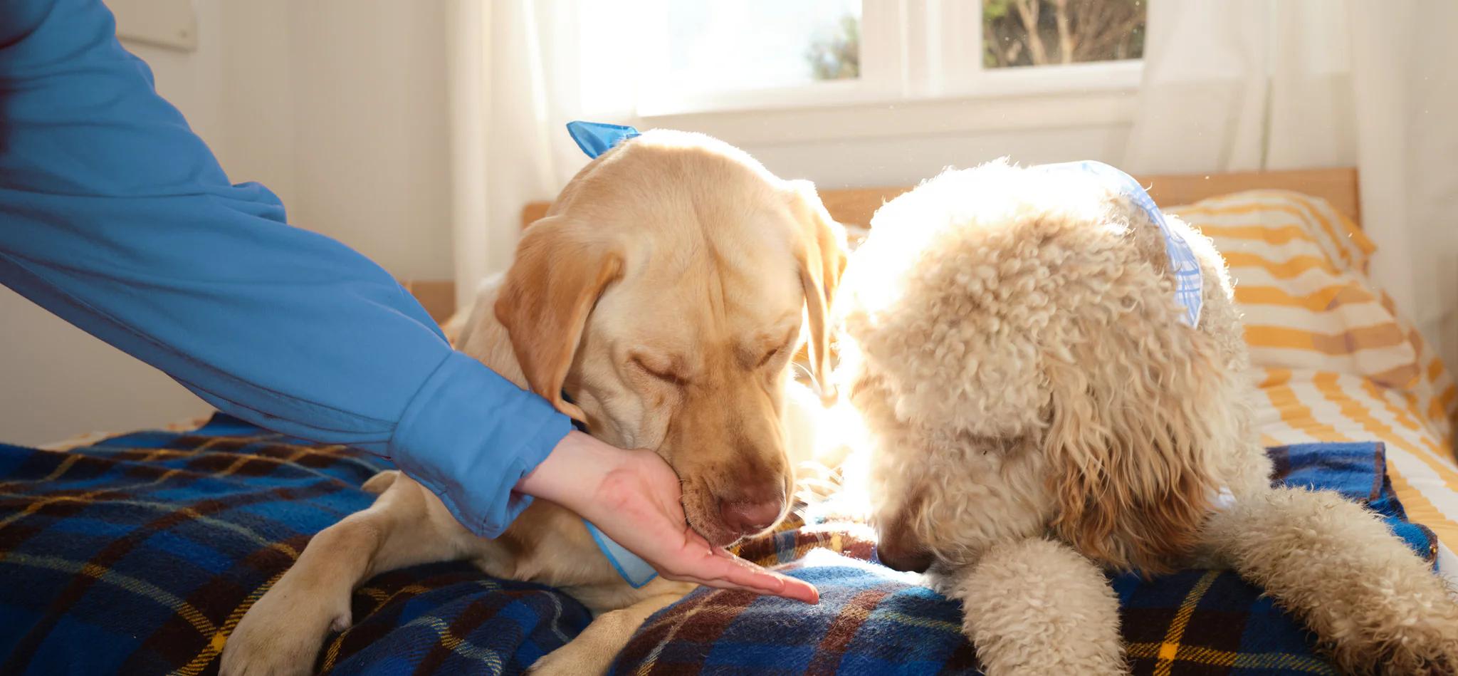 Welcome to Our Store